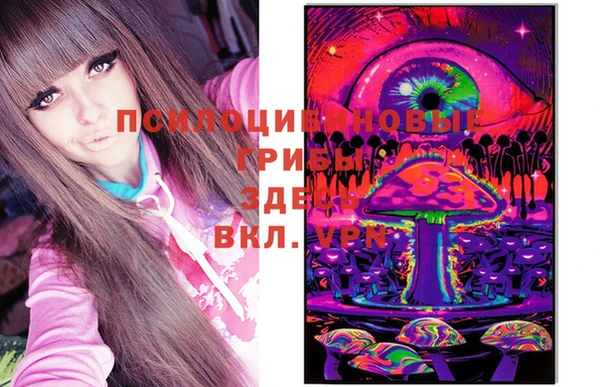 эйфоретик Белокуриха